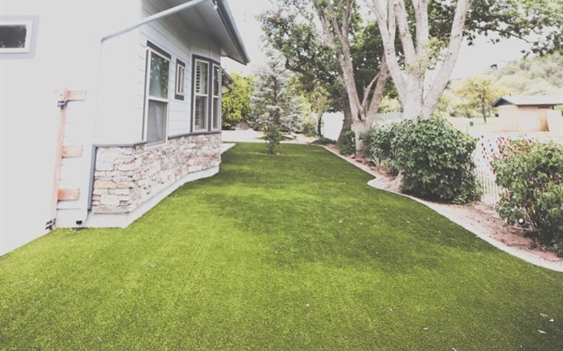 artificial turf back yard with hanging lights